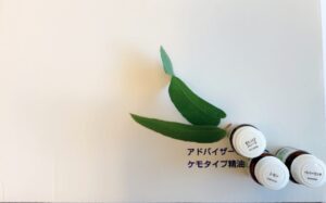 <span class="title">夢の話ではなく現実にしていくこと〜医療と香り、予防医療と香りのある世界へ〜</span>