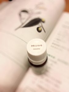 グリア細胞・アストロサイト